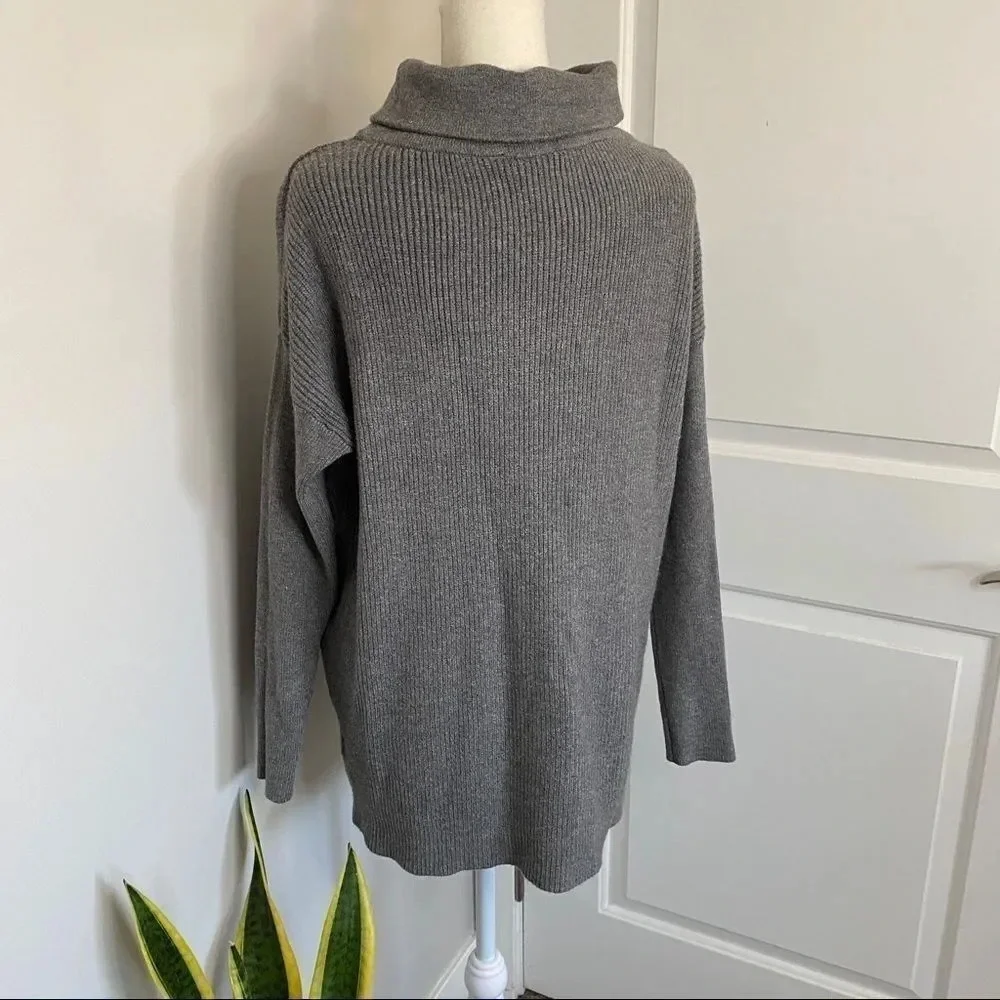 NWT Devotion by Cyrus Turtleneck Sweater